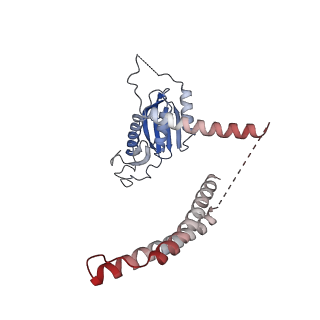 31204_7ena_c_v1-1
TFIID-based PIC-Mediator holo-complex in pre-assembled state (pre-hPIC-MED)