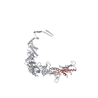 31204_7ena_n_v1-1
TFIID-based PIC-Mediator holo-complex in pre-assembled state (pre-hPIC-MED)