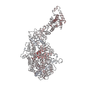 31204_7ena_w_v1-1
TFIID-based PIC-Mediator holo-complex in pre-assembled state (pre-hPIC-MED)