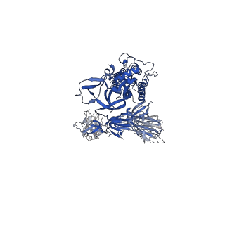 31209_7enf_A_v1-1
Cryo-EM structure of the SARS-CoV-2 S-6P in complex with Fab30