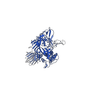 31209_7enf_B_v1-1
Cryo-EM structure of the SARS-CoV-2 S-6P in complex with Fab30