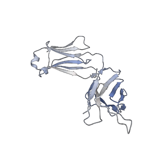 31210_7eng_L_v1-1
Cryo-EM structure of the SARS-CoV-2 S-6P in complex with Fab30 (local refinement of the RBD and Fab30)