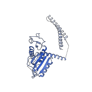 31211_7enj_0_v1-1
Human Mediator (deletion of MED1-IDR) in a Tail-bent conformation (MED-B)