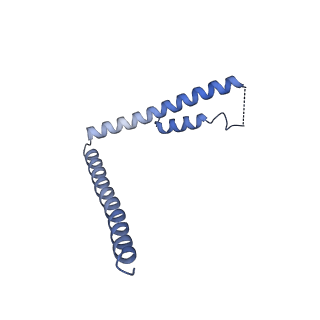 31211_7enj_1_v1-1
Human Mediator (deletion of MED1-IDR) in a Tail-bent conformation (MED-B)