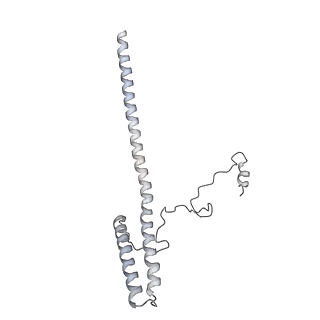 31211_7enj_G_v1-1
Human Mediator (deletion of MED1-IDR) in a Tail-bent conformation (MED-B)