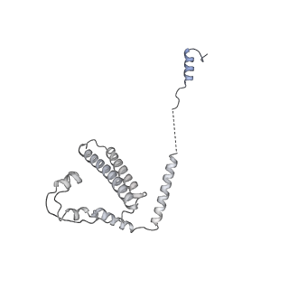 31211_7enj_H_v1-1
Human Mediator (deletion of MED1-IDR) in a Tail-bent conformation (MED-B)