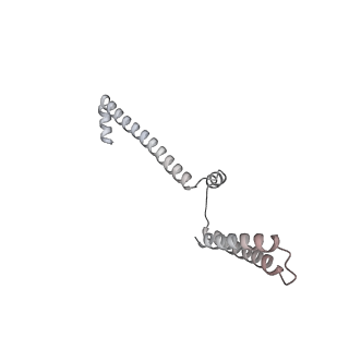 31211_7enj_J_v1-1
Human Mediator (deletion of MED1-IDR) in a Tail-bent conformation (MED-B)