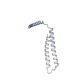 31211_7enj_K_v1-1
Human Mediator (deletion of MED1-IDR) in a Tail-bent conformation (MED-B)
