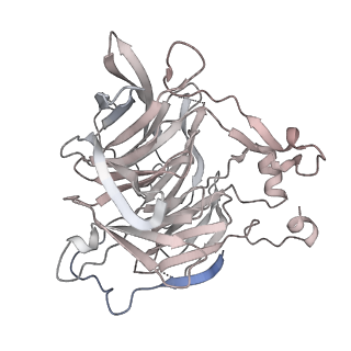 31211_7enj_P_v1-1
Human Mediator (deletion of MED1-IDR) in a Tail-bent conformation (MED-B)