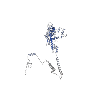 31211_7enj_Q_v1-1
Human Mediator (deletion of MED1-IDR) in a Tail-bent conformation (MED-B)