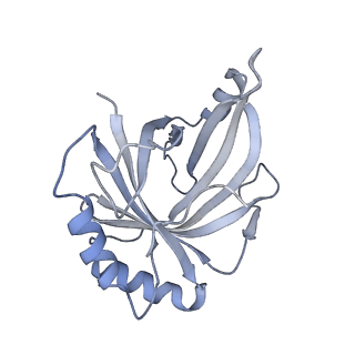 31211_7enj_R_v1-1
Human Mediator (deletion of MED1-IDR) in a Tail-bent conformation (MED-B)
