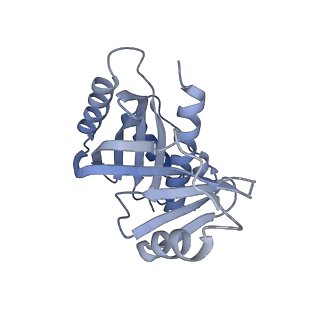 31211_7enj_T_v1-1
Human Mediator (deletion of MED1-IDR) in a Tail-bent conformation (MED-B)