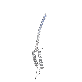 31211_7enj_U_v1-1
Human Mediator (deletion of MED1-IDR) in a Tail-bent conformation (MED-B)