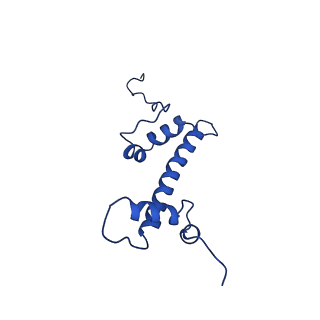 31217_7enn_C_v1-0
The structure of ALC1 bound to the nucleosome