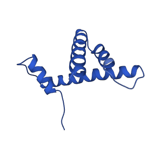 31217_7enn_H_v1-0
The structure of ALC1 bound to the nucleosome