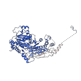 31217_7enn_K_v1-0
The structure of ALC1 bound to the nucleosome