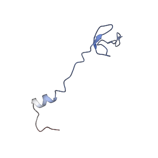 3898_6enf_0_v1-1
Cryo-EM structure of a polyproline-stalled ribosome in the absence of EF-P