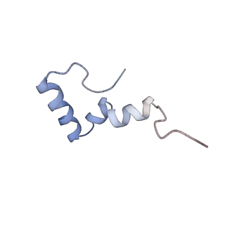 3898_6enf_2_v1-1
Cryo-EM structure of a polyproline-stalled ribosome in the absence of EF-P