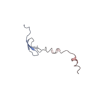 3898_6enf_6_v1-1
Cryo-EM structure of a polyproline-stalled ribosome in the absence of EF-P