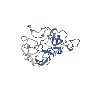 3898_6enf_C_v1-1
Cryo-EM structure of a polyproline-stalled ribosome in the absence of EF-P