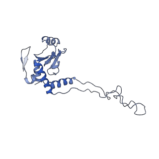 3898_6enf_E_v1-1
Cryo-EM structure of a polyproline-stalled ribosome in the absence of EF-P