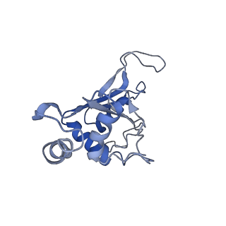 3898_6enf_F_v1-1
Cryo-EM structure of a polyproline-stalled ribosome in the absence of EF-P