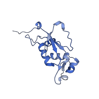 3898_6enf_J_v1-1
Cryo-EM structure of a polyproline-stalled ribosome in the absence of EF-P