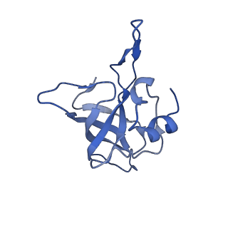 3898_6enf_K_v1-1
Cryo-EM structure of a polyproline-stalled ribosome in the absence of EF-P