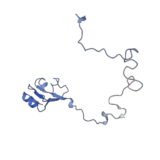 3898_6enf_L_v1-1
Cryo-EM structure of a polyproline-stalled ribosome in the absence of EF-P