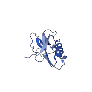 3898_6enf_M_v1-1
Cryo-EM structure of a polyproline-stalled ribosome in the absence of EF-P