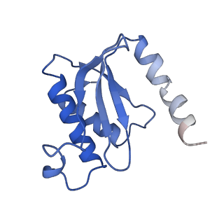 3898_6enf_O_v1-1
Cryo-EM structure of a polyproline-stalled ribosome in the absence of EF-P