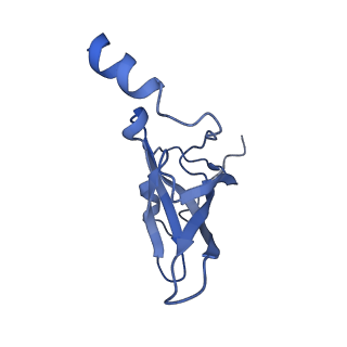 3898_6enf_P_v1-1
Cryo-EM structure of a polyproline-stalled ribosome in the absence of EF-P