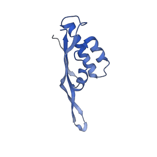 3898_6enf_S_v1-1
Cryo-EM structure of a polyproline-stalled ribosome in the absence of EF-P
