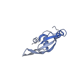 3898_6enf_T_v1-1
Cryo-EM structure of a polyproline-stalled ribosome in the absence of EF-P
