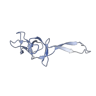 3898_6enf_U_v1-1
Cryo-EM structure of a polyproline-stalled ribosome in the absence of EF-P