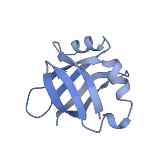 3898_6enf_V_v1-1
Cryo-EM structure of a polyproline-stalled ribosome in the absence of EF-P
