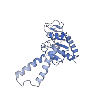 3898_6enf_b_v1-1
Cryo-EM structure of a polyproline-stalled ribosome in the absence of EF-P