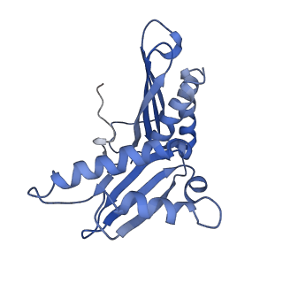 3898_6enf_c_v1-1
Cryo-EM structure of a polyproline-stalled ribosome in the absence of EF-P
