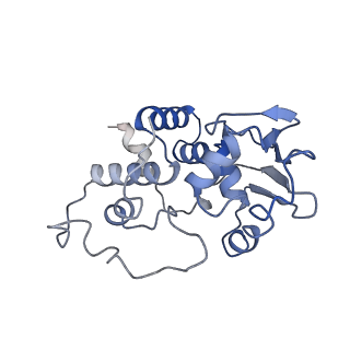 3898_6enf_d_v1-1
Cryo-EM structure of a polyproline-stalled ribosome in the absence of EF-P