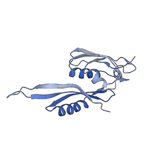 3898_6enf_e_v1-1
Cryo-EM structure of a polyproline-stalled ribosome in the absence of EF-P