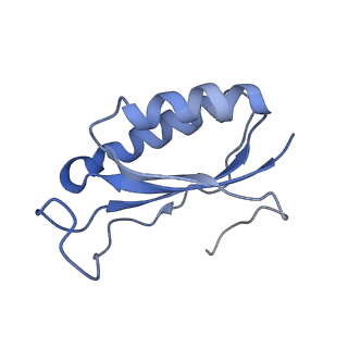 3898_6enf_f_v1-1
Cryo-EM structure of a polyproline-stalled ribosome in the absence of EF-P
