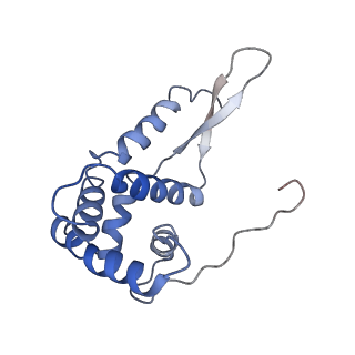 3898_6enf_g_v1-1
Cryo-EM structure of a polyproline-stalled ribosome in the absence of EF-P