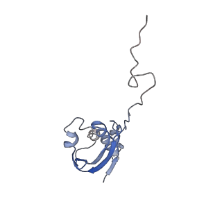 3898_6enf_i_v1-1
Cryo-EM structure of a polyproline-stalled ribosome in the absence of EF-P