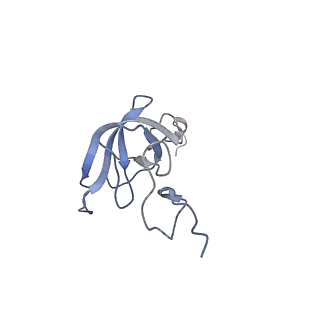 3898_6enf_l_v1-1
Cryo-EM structure of a polyproline-stalled ribosome in the absence of EF-P