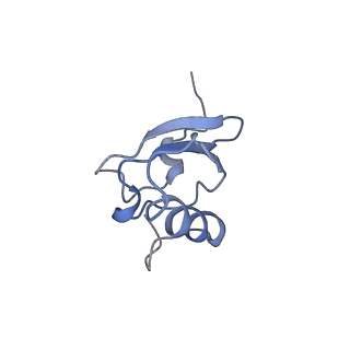 3898_6enf_s_v1-1
Cryo-EM structure of a polyproline-stalled ribosome in the absence of EF-P