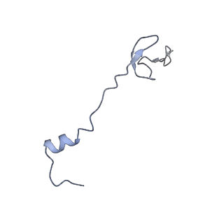 3899_6enj_0_v1-2
Polyproline-stalled ribosome in the presence of A+P site tRNA and elongation-factor P (EF-P)
