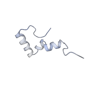3899_6enj_2_v1-2
Polyproline-stalled ribosome in the presence of A+P site tRNA and elongation-factor P (EF-P)