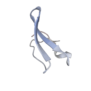 3899_6enj_4_v1-2
Polyproline-stalled ribosome in the presence of A+P site tRNA and elongation-factor P (EF-P)
