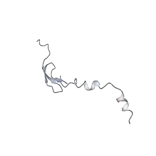 3899_6enj_6_v1-2
Polyproline-stalled ribosome in the presence of A+P site tRNA and elongation-factor P (EF-P)
