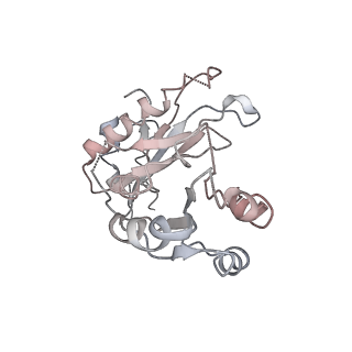 3899_6enj_7_v1-2
Polyproline-stalled ribosome in the presence of A+P site tRNA and elongation-factor P (EF-P)